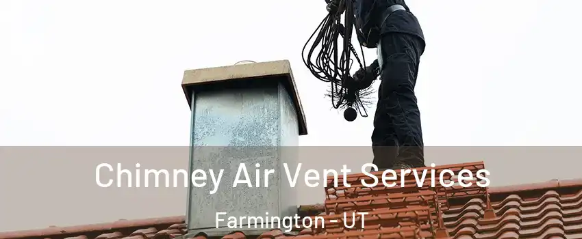  Chimney Air Vent Services Farmington - UT