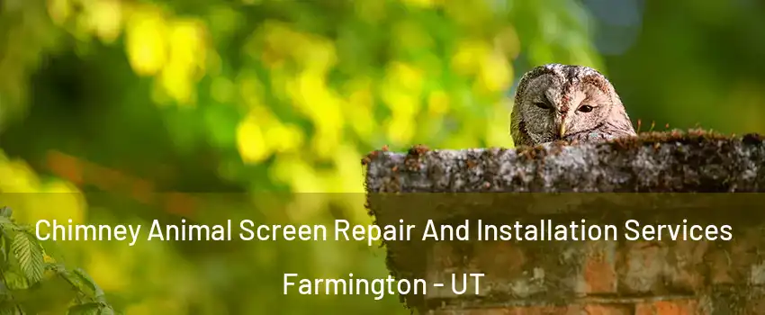  Chimney Animal Screen Repair And Installation Services Farmington - UT