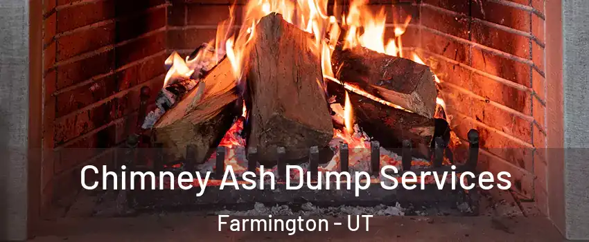  Chimney Ash Dump Services Farmington - UT