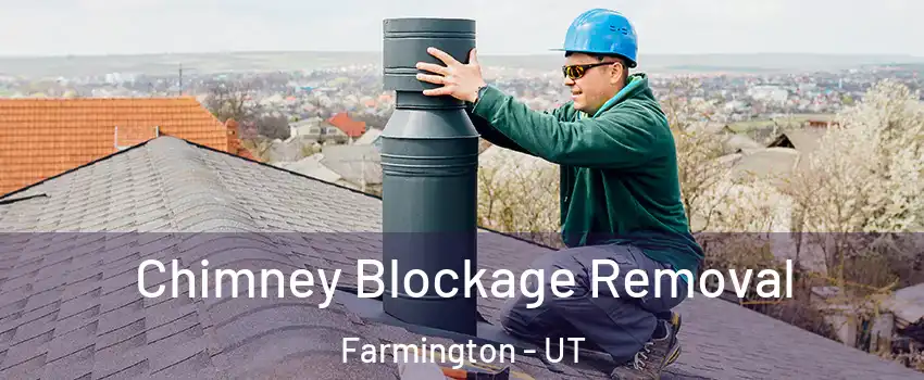  Chimney Blockage Removal Farmington - UT