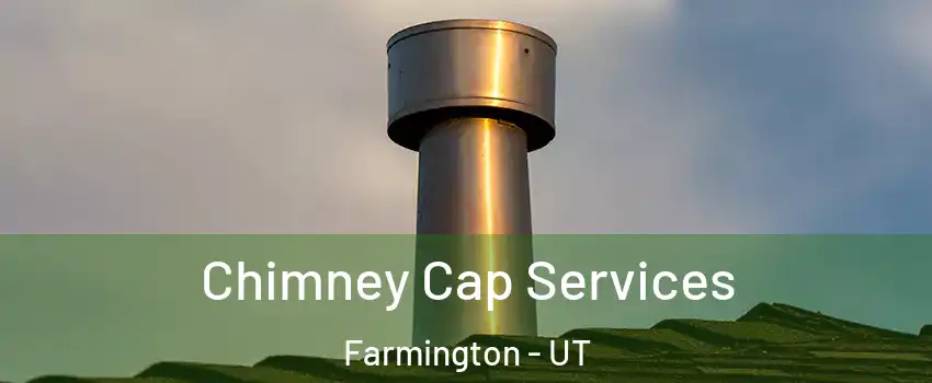  Chimney Cap Services Farmington - UT