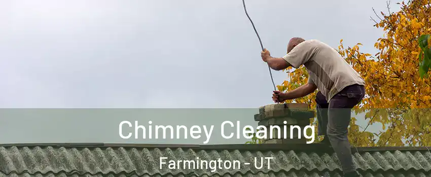  Chimney Cleaning Farmington - UT