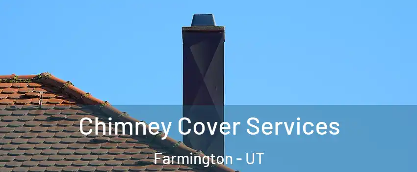  Chimney Cover Services Farmington - UT