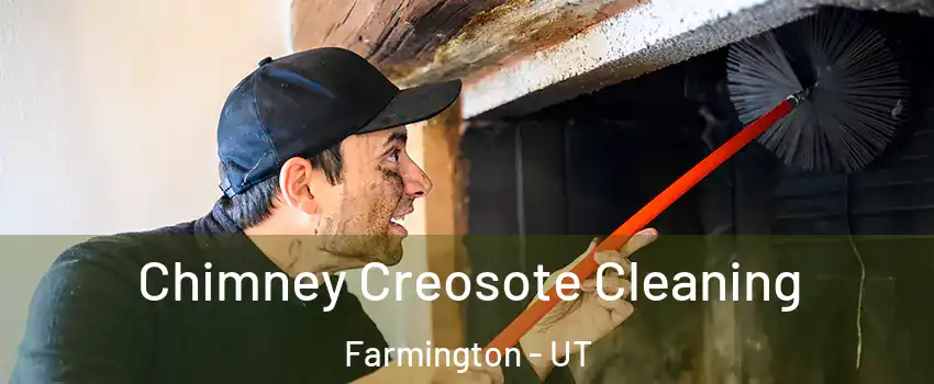  Chimney Creosote Cleaning Farmington - UT