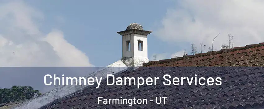  Chimney Damper Services Farmington - UT