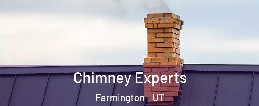  Chimney Experts Farmington - UT