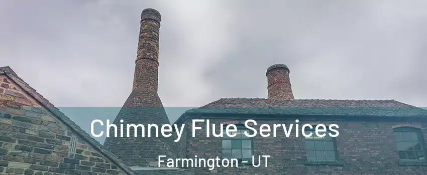  Chimney Flue Services Farmington - UT