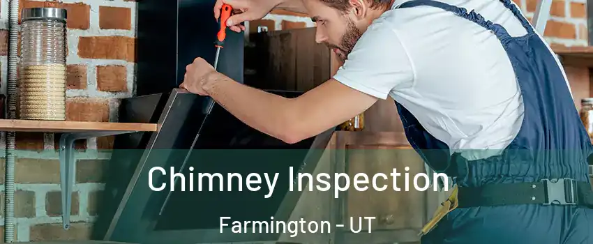  Chimney Inspection Farmington - UT