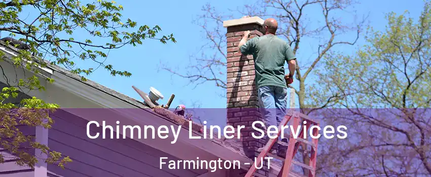  Chimney Liner Services Farmington - UT
