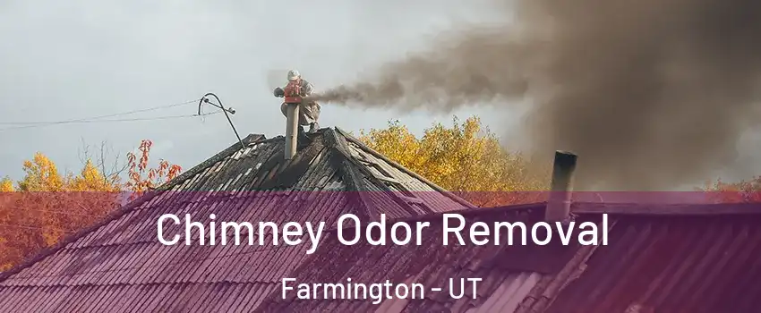  Chimney Odor Removal Farmington - UT