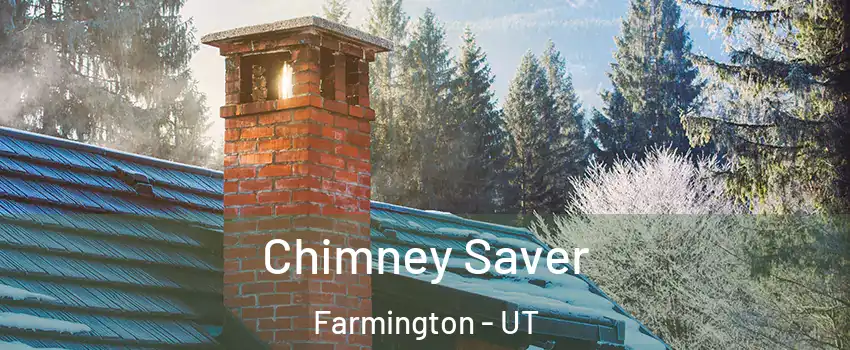  Chimney Saver Farmington - UT