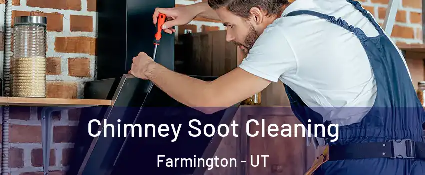  Chimney Soot Cleaning Farmington - UT
