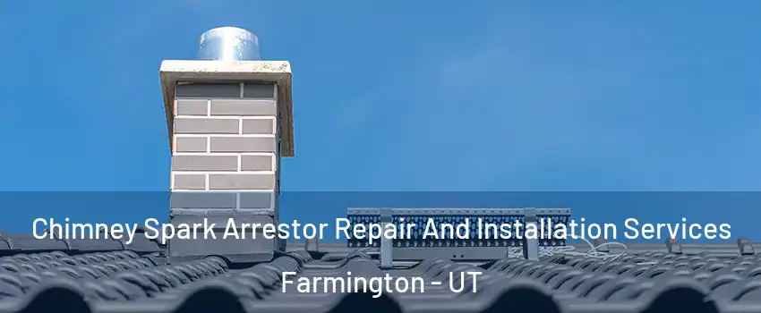  Chimney Spark Arrestor Repair And Installation Services Farmington - UT