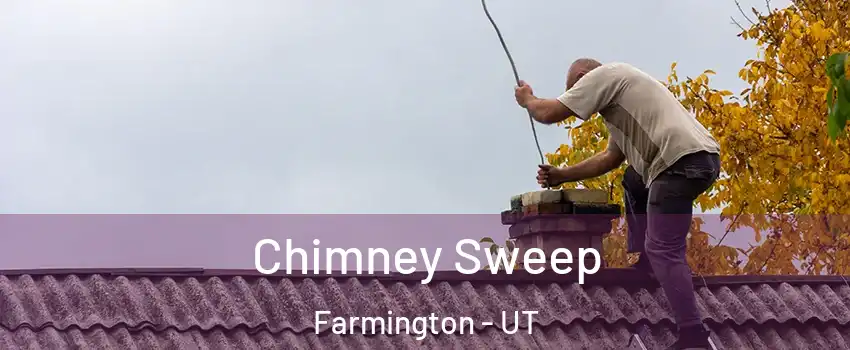  Chimney Sweep Farmington - UT