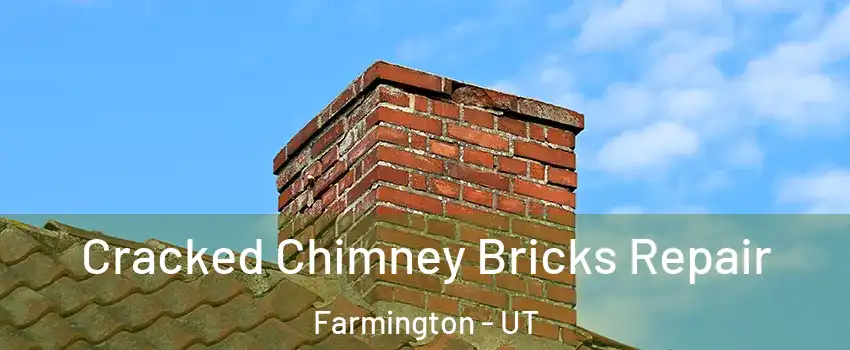  Cracked Chimney Bricks Repair Farmington - UT