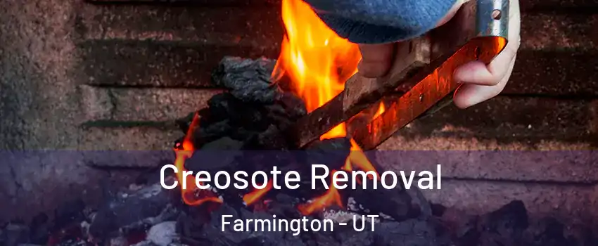  Creosote Removal Farmington - UT