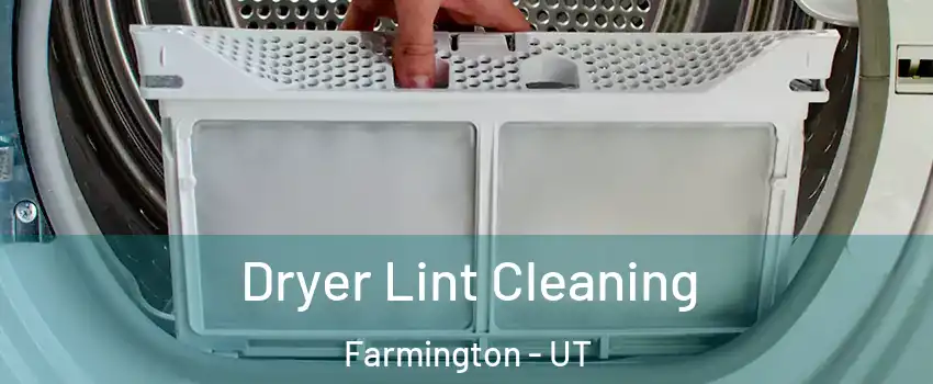  Dryer Lint Cleaning Farmington - UT