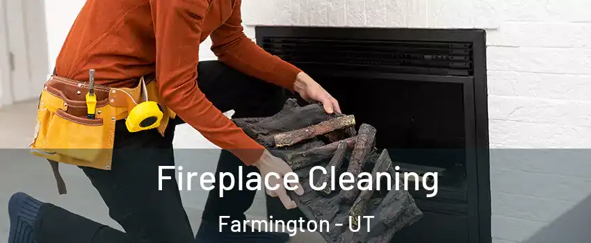  Fireplace Cleaning Farmington - UT