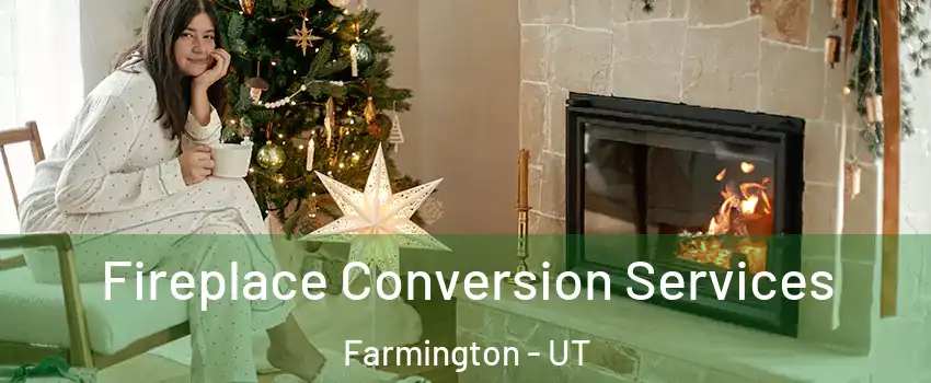  Fireplace Conversion Services Farmington - UT