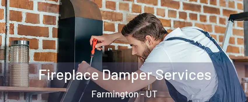 Fireplace Damper Services Farmington - UT
