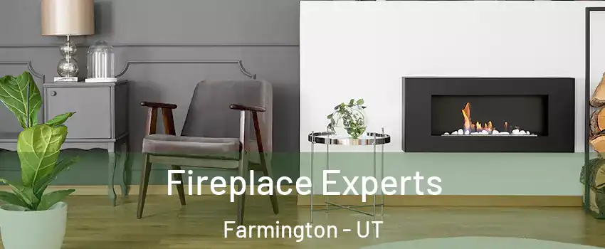  Fireplace Experts Farmington - UT
