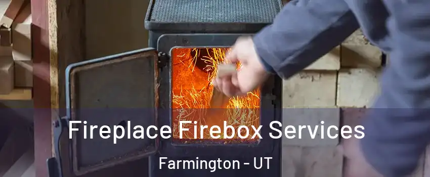  Fireplace Firebox Services Farmington - UT