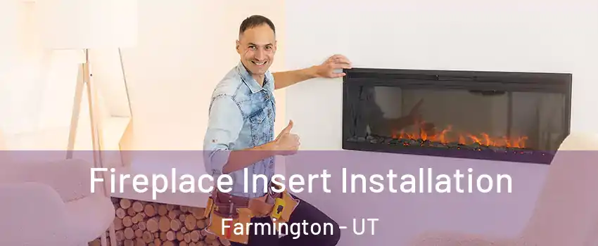  Fireplace Insert Installation Farmington - UT