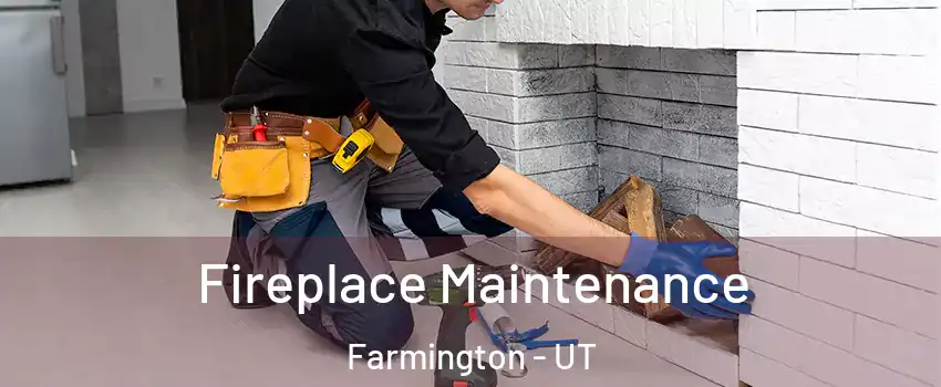  Fireplace Maintenance Farmington - UT