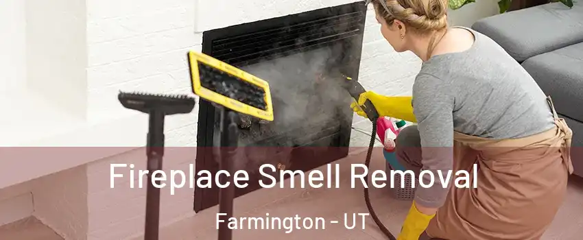  Fireplace Smell Removal Farmington - UT