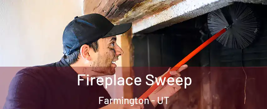  Fireplace Sweep Farmington - UT