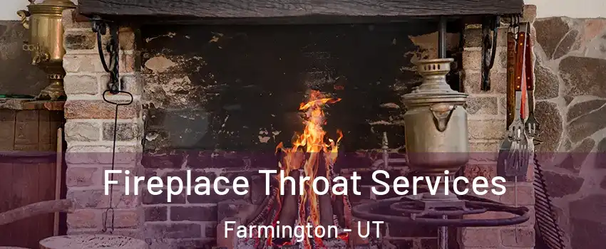  Fireplace Throat Services Farmington - UT
