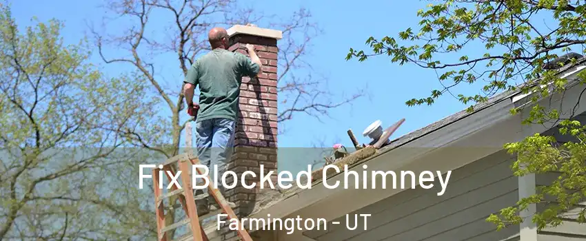  Fix Blocked Chimney Farmington - UT