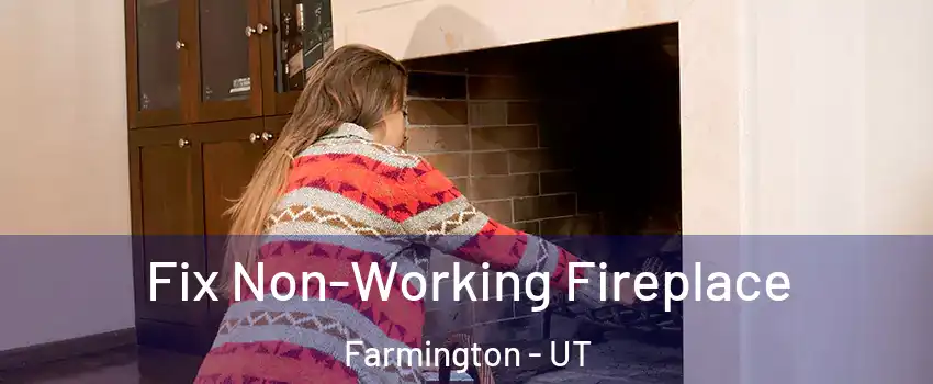  Fix Non-Working Fireplace Farmington - UT