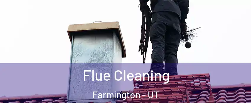  Flue Cleaning Farmington - UT