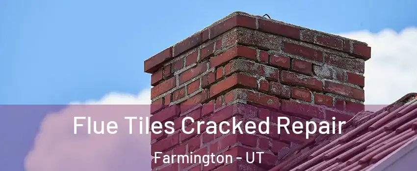  Flue Tiles Cracked Repair Farmington - UT