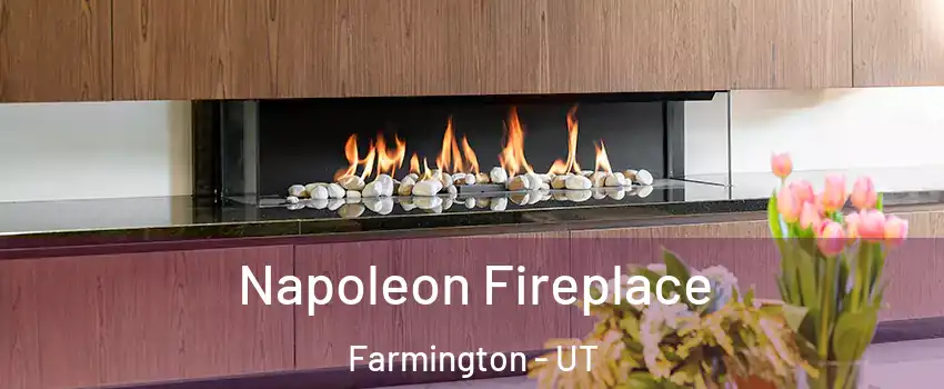  Napoleon Fireplace Farmington - UT
