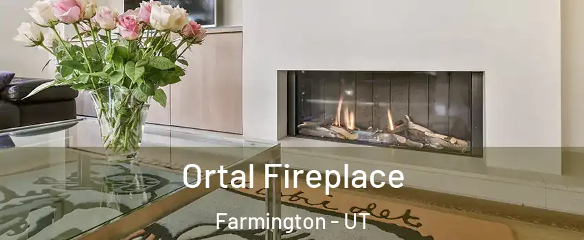  Ortal Fireplace Farmington - UT