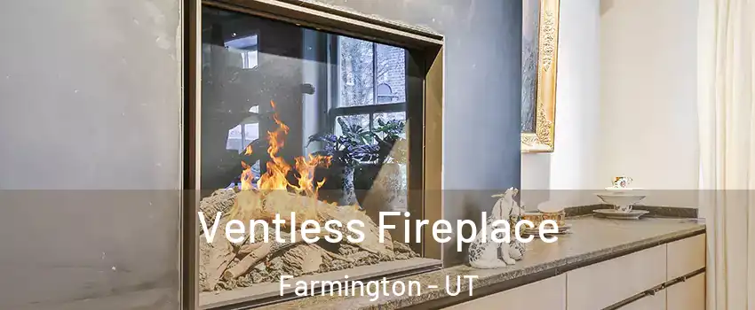  Ventless Fireplace Farmington - UT