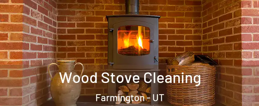  Wood Stove Cleaning Farmington - UT